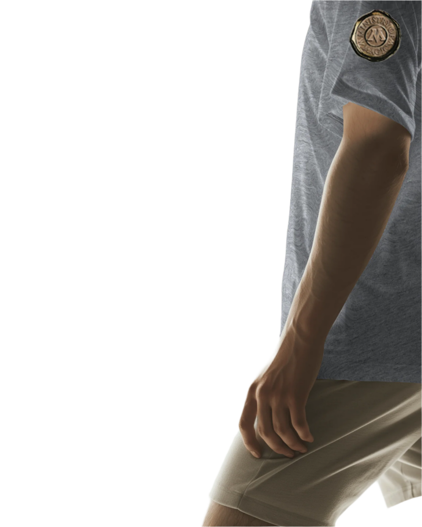 GREY T-SHIRT Harry Porter Print